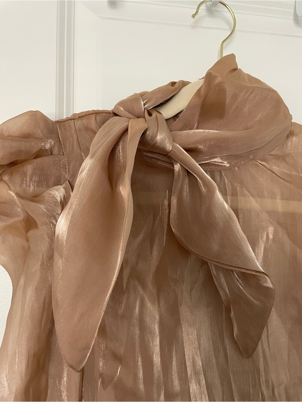 Elegant Sheer Bow Accent Blouse